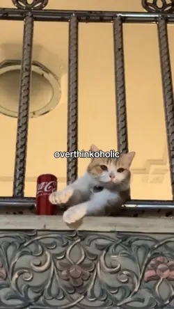 overthinkoholic