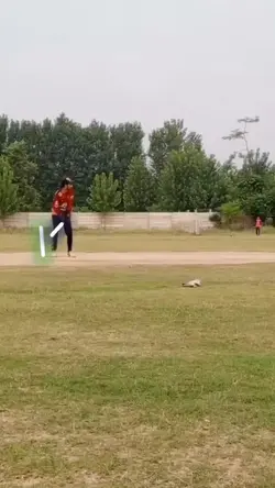 cricket template