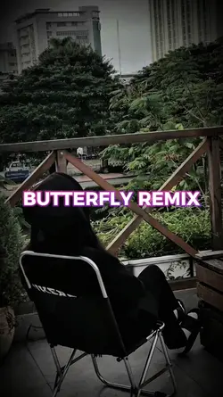 BUTTERFLY REMIX