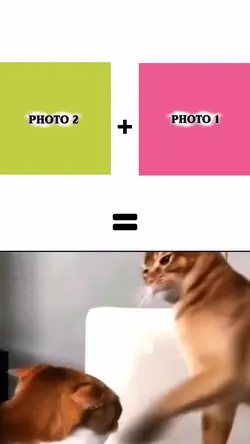 NEW TREND TEMPLATE