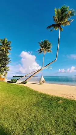 half year 2025