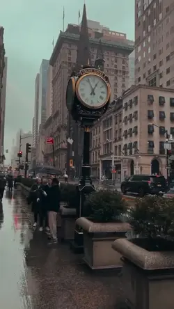 City Life