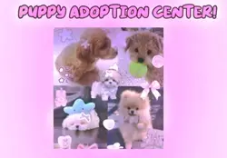 ~ADOPT ONE~ 🫧🤍🐾