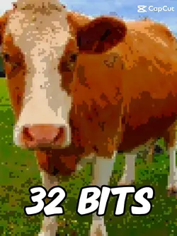 64 bits