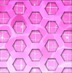 2024-2025-2026