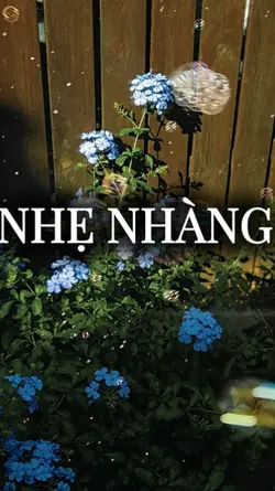 “
mà nàng 
nào đâu b