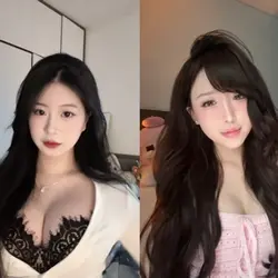 2 parallel videos