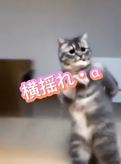 横揺れα
