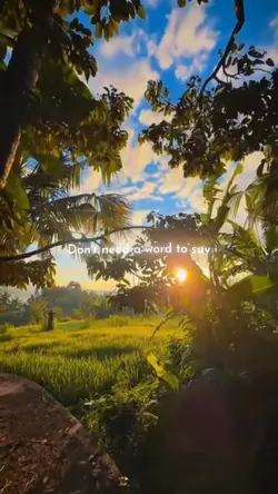 Till It Hurts Slowmo
