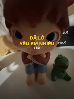 MẪU 1 PIC 