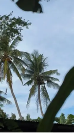 Araw gabi montage
