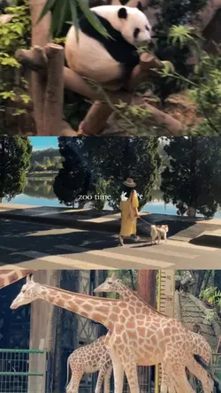 zoo mini vlog