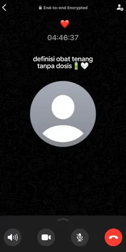 ss telepon wa