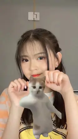 3 kucing joget