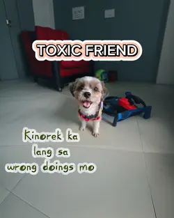 TOXIC FRIEND