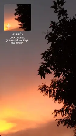คนจริงใจ