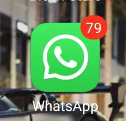 whatsapp 