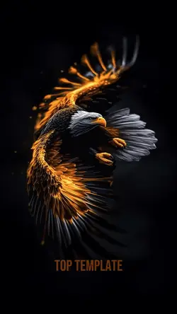 Eagle Intro Top