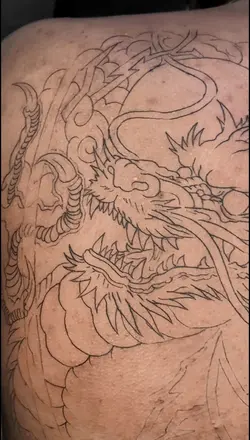 Dragon full Back. 🔥