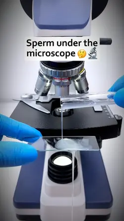 Under the Microscope