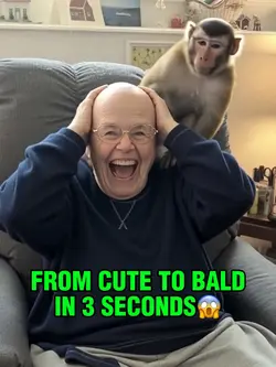 from cute to bald