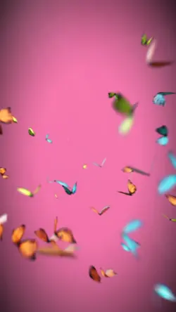 Butterfly edit