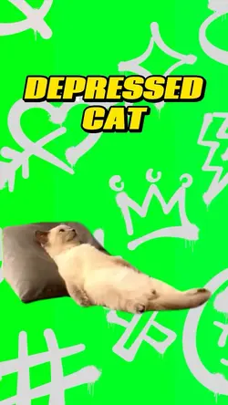 Depressed Cat 