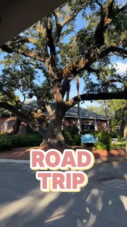 Road trip 