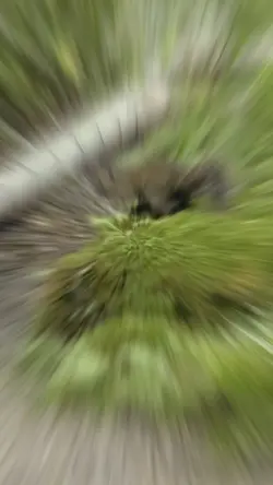 パワースポット