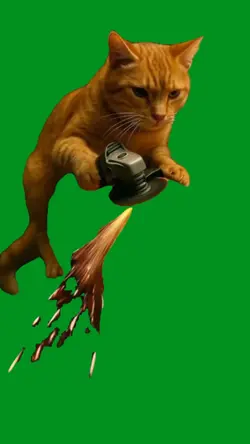 cat grinder ai