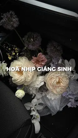 HOÀ NHỊP GIÁNG SINH📍