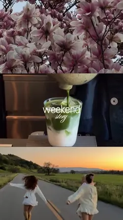 collage video