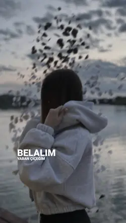 Şabloj ücretsiz !