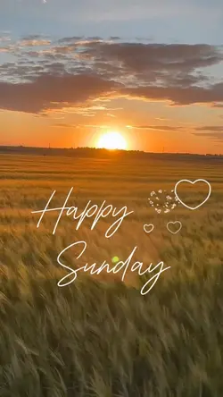 Happy Sunday 