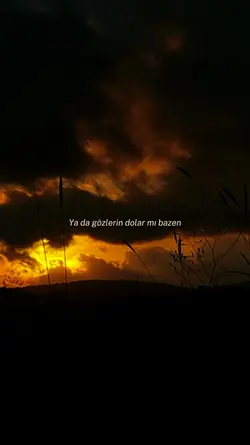 son yaz 