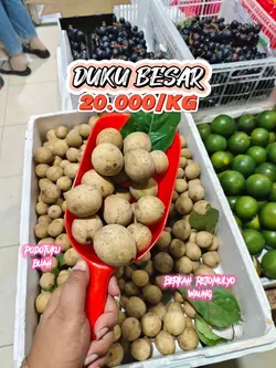 BUAH DUKU PREMIUM