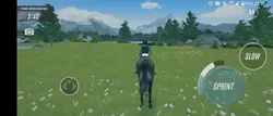 slowmo 
