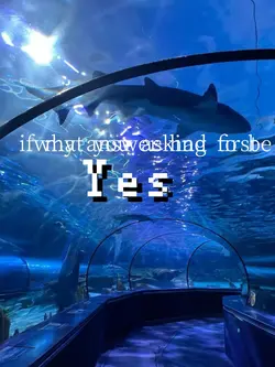 answer has to be yes