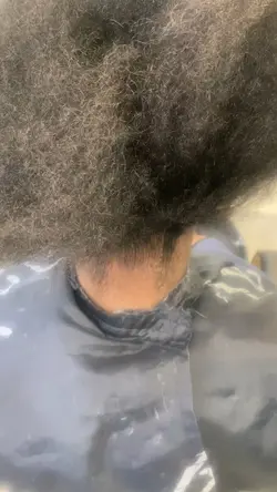 Twist Hairstyle 
