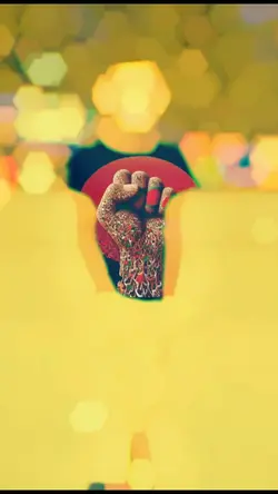 ছাত্রদের স্বাধীন দেশ