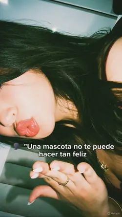 Mascotas
