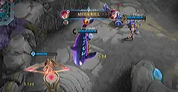 Chou montage