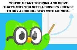 Duolingo meme templa