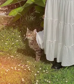 Thằng Điên 