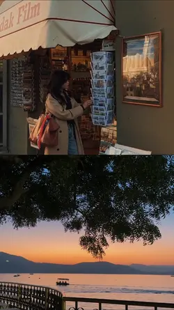 2 Grid Videos