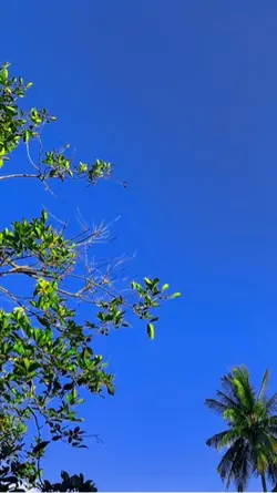 Langit biru