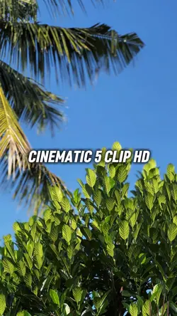 5 VIDEO CINEMATIC HD
