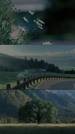 JANNABI X CINEMATIC