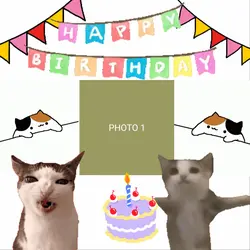 HAPPY BIRTHDAY CAT