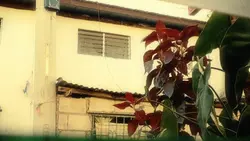 Art of Noticing